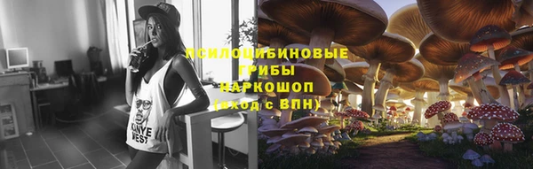 Альфа ПВП Карталы