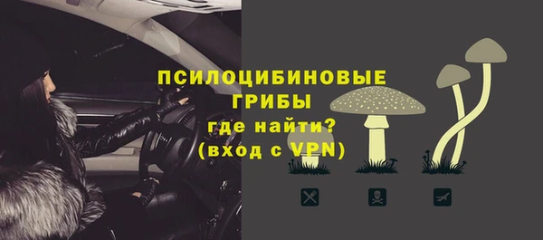 спайс Касимов