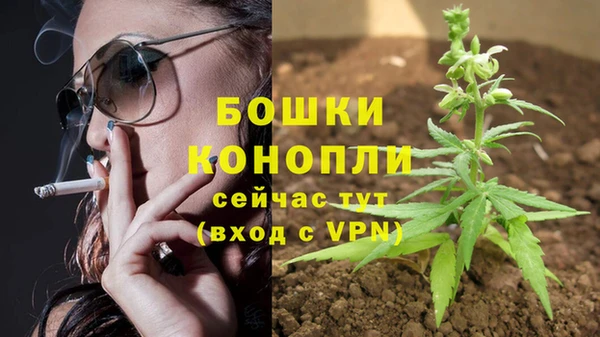 мет Карпинск