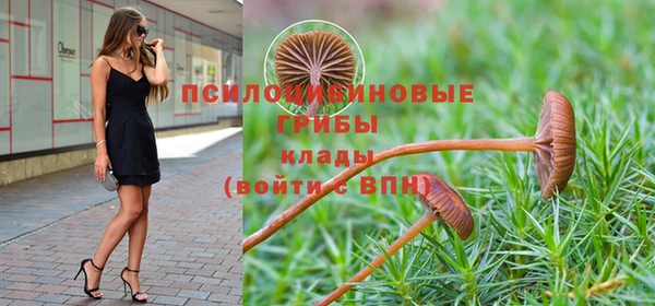 спайс Касимов