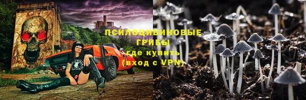 мет Карпинск