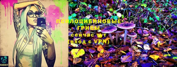 спайс Касимов