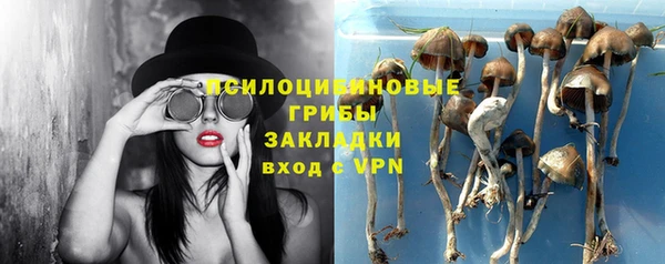 спайс Касимов
