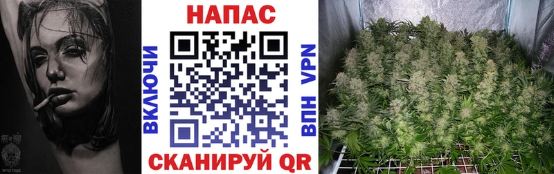 Купить где  Катайск  Каннабис Amnesia 